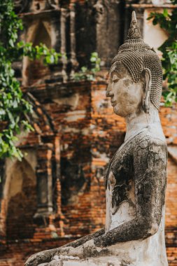 Amazing details of the Wat Maha That temple with the ruins