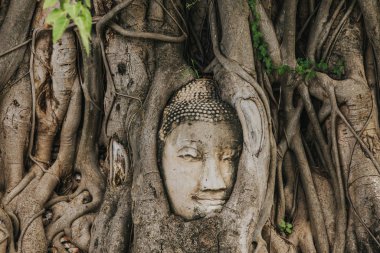 Amazing details of the Wat Maha That temple with the ruins of the Buddha statues.