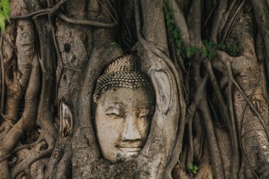Amazing details of the Wat Maha That temple with the ruins of the Buddha statues.