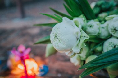 Lotus flowers, candles and incense sticks offered by Thai people at Asahna Bucha Day.