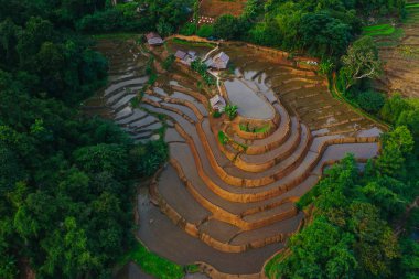 Aerial view of beautiful and freshly planted rice terraces in rainy season. 