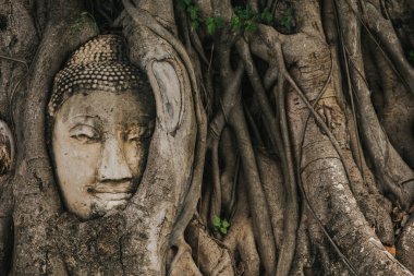 Amazing details of the Wat Maha That temple with the ruins of the Buddha statues.