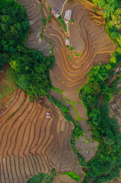 Vista Aérea Hermosas Terrazas Arroz Recién Plantadas Temporada Lluvias — Foto de Stock