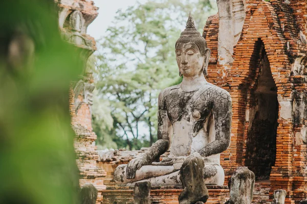 Amazing Details Wat Maha Temple Ruins — Stock Photo, Image