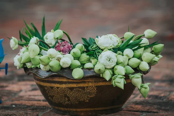 Lotus Flowers Offered Thai People Asahna Bucha Day — Stock Photo, Image