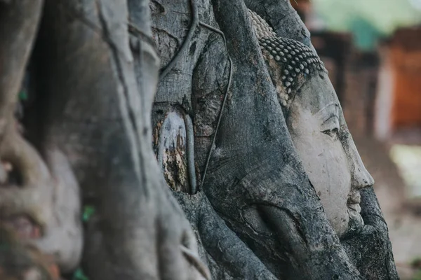 Increíbles Detalles Del Wat Maha Ese Templo Con Las Ruinas —  Fotos de Stock