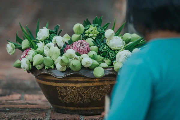 Lotus flowers offered by Thai people at Asahna Bucha Day.