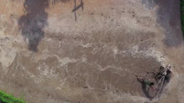 Asian man working on the rice fields with the tractor. Image taken from above with a drone.