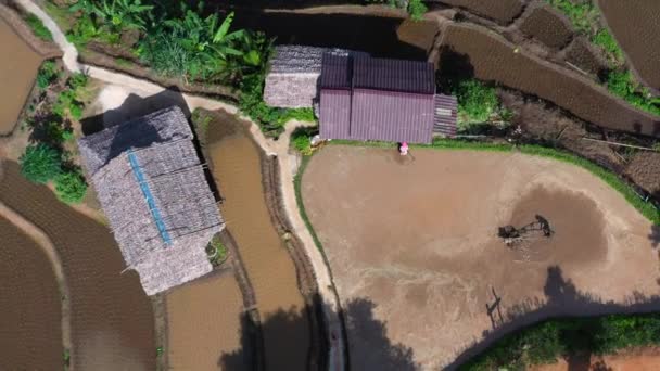 Asian Man Working Rice Fields Tractor Image Taken Drone — 비디오