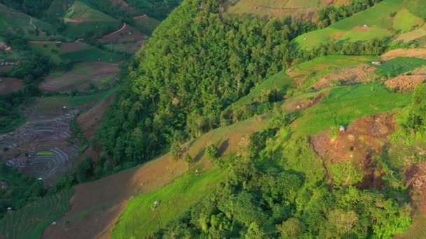 Uitzicht Vanuit Lucht Prachtige Pas Beplante Rijstterrassen Het Regenseizoen — Stockvideo