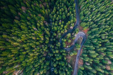 Drone view of winding forest road