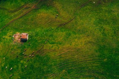 Rolling hills in spring. Agricultural farmland.