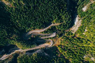 Yılan gibi yol