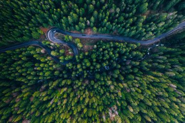 Drone view of winding forest road