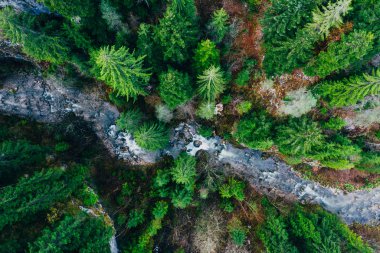Creek winding through cliffs and forests seen from a drone