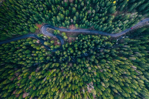 Widok drona krętej drogi leśnej — Zdjęcie stockowe
