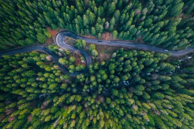 Drone view of winding forest road