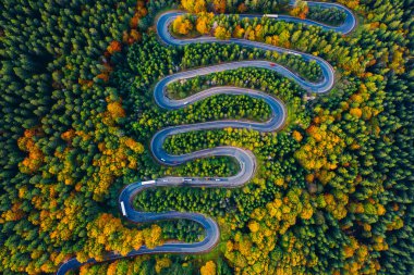 Scenic curvy road seen from a drone in autumn. Cheia, Romania. 