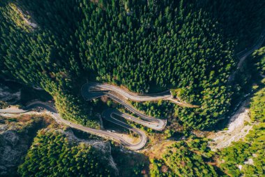 Yılan gibi yol