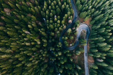 Drone view of winding forest road