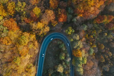 Drone view of a forest and a serpentine road in autumn with colo
