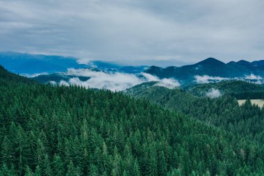 Piatra Craiului seen from a drone.