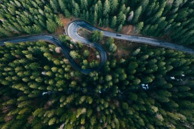 Drone view of winding forest road