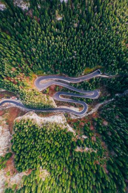 Yılan gibi yol