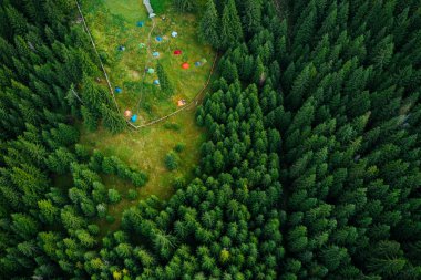 Camping site with tents seen from a drone in the dense woods.