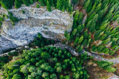 Creek winding through cliffs and forests seen from a drone
