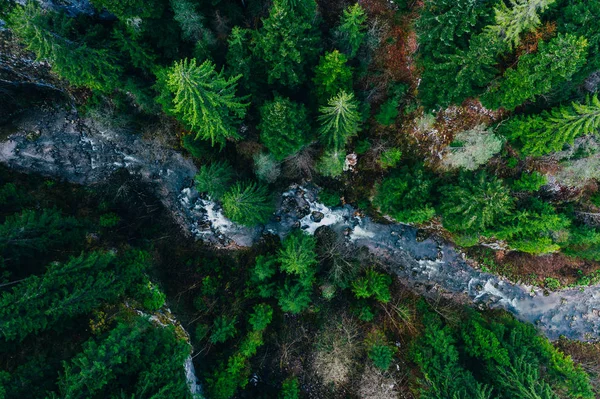 Patak kanyarog a sziklák és erdők látszó egy drón — Stock Fotó