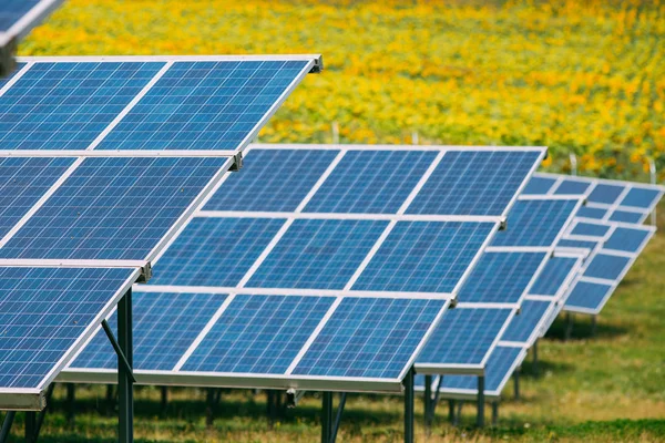 Solar power station with huge solar photovoltaic panels. — ストック写真