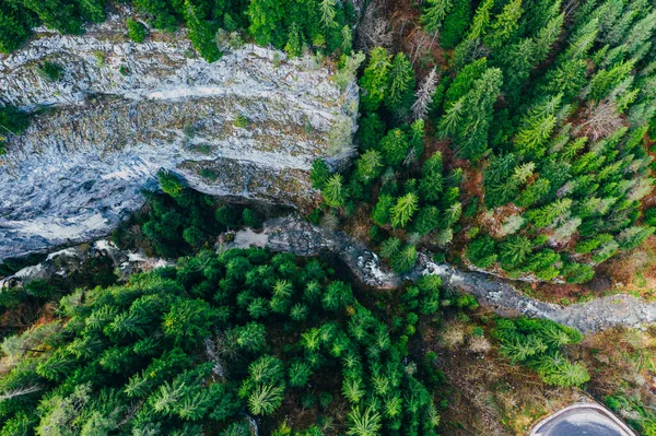 Patak kanyarog a sziklák és erdők látszó egy drón — Stock Fotó