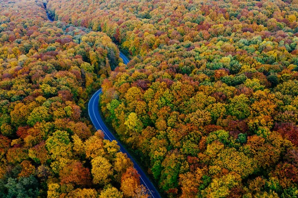 Drone view of a forest and a serpentine road — Stockfoto