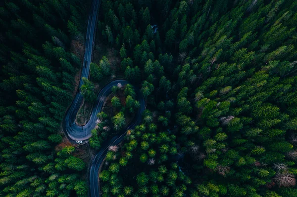 Drone view of winding forest road