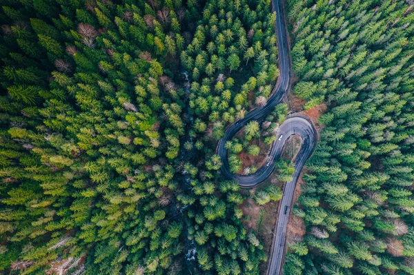 Drone view of winding forest road — Stock Photo, Image