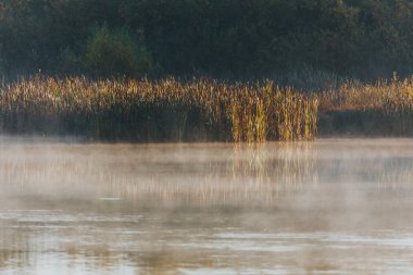 Sonbahar gölünde sisli bir sabah