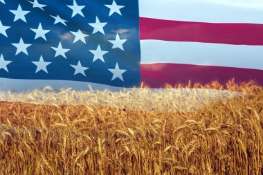 Amerikan bayrağı ve güzel doğal buğdayla çifte çekim.. 