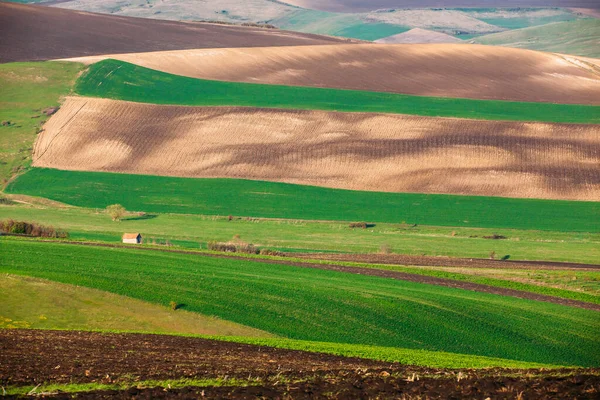 Sanfte Hügel Frühling Landwirtschaftliche Nutzflächen — Stockfoto