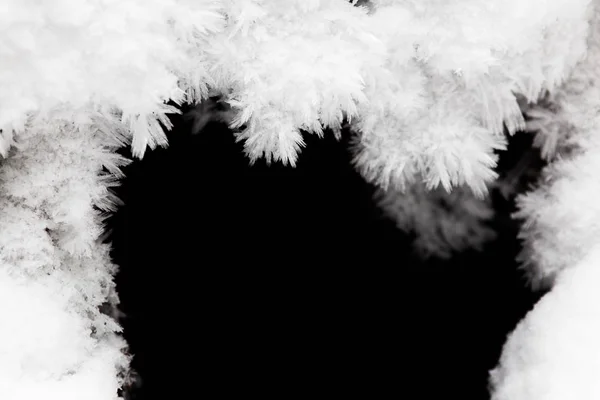Nahaufnahme Weißer Frost — Stockfoto