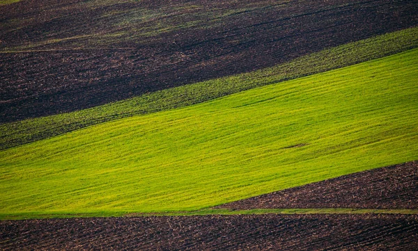Rolling Hills Primavera Terreni Agricoli Agricoli — Foto Stock