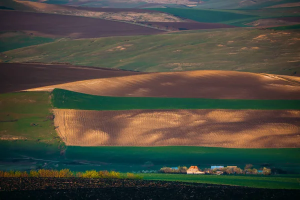 Sanfte Hügel Frühling Landwirtschaftliche Nutzflächen — Stockfoto