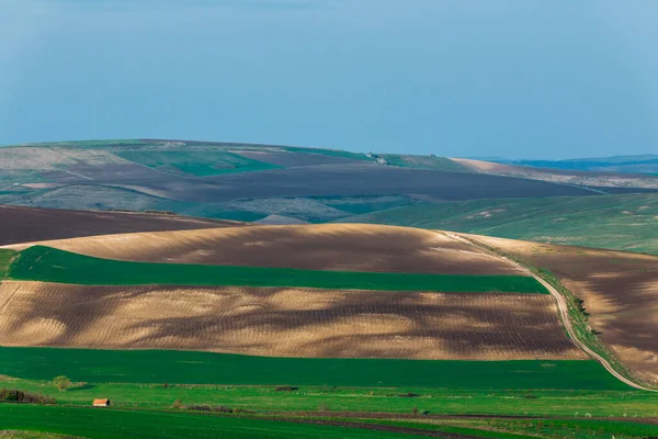 Sanfte Hügel Frühling Landwirtschaftliche Nutzflächen — Stockfoto