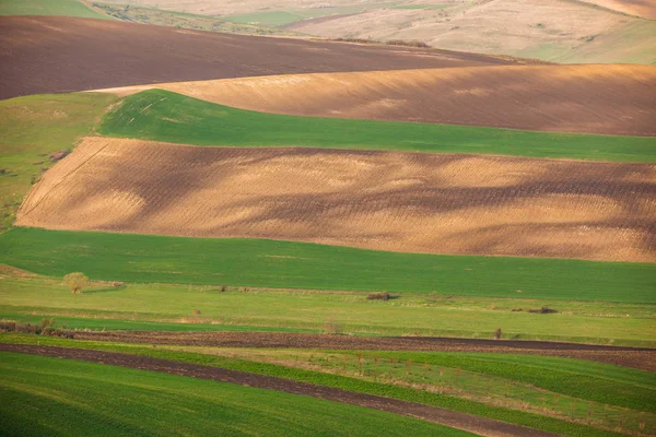 Sanfte Hügel Frühling Landwirtschaftliche Nutzflächen — Stockfoto