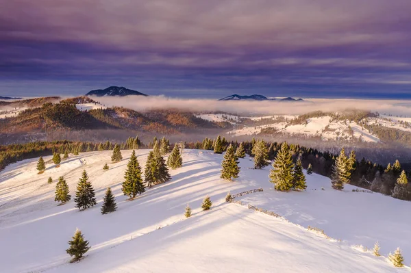 Pasul Tihuta Roumanie Partir Drone Tôt Dans Matinée Hiver — Photo