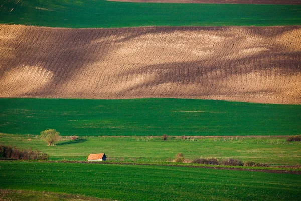 Весною Прокотяться Пагорби Сільськогосподарські Ферми — стокове фото