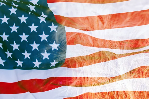 Double Exposure American Flag Beautiful Natural Wheat — Stock Photo, Image