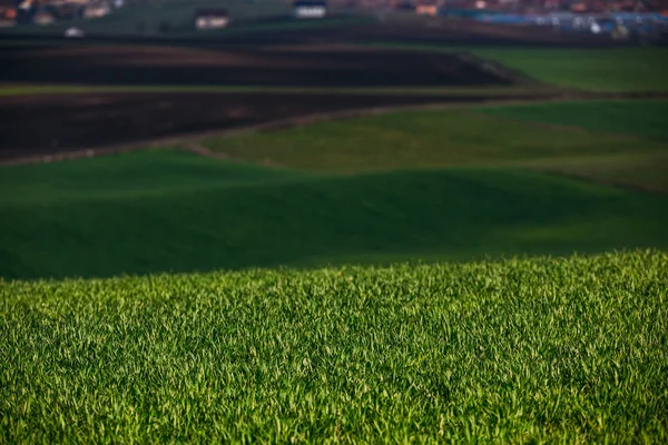 Rollende Heuvels Het Voorjaar Landbouwgrond — Stockfoto