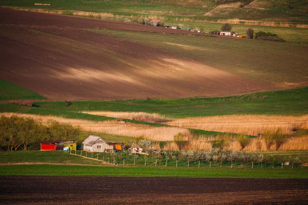 Sanfte Hügel Frühling Landwirtschaftliche Nutzflächen — Stockfoto