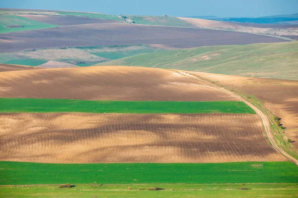 Rollende Heuvels Het Voorjaar Landbouwgrond — Stockfoto